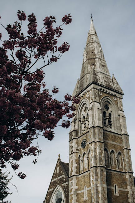 A tall, historic stone church tower with intricate architectural details rises against a cloudy sky, partially framed by a lush cherry blossom tree in full bloom with vibrant pink flowers. The blossom